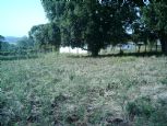 Foto do Imóvel 8